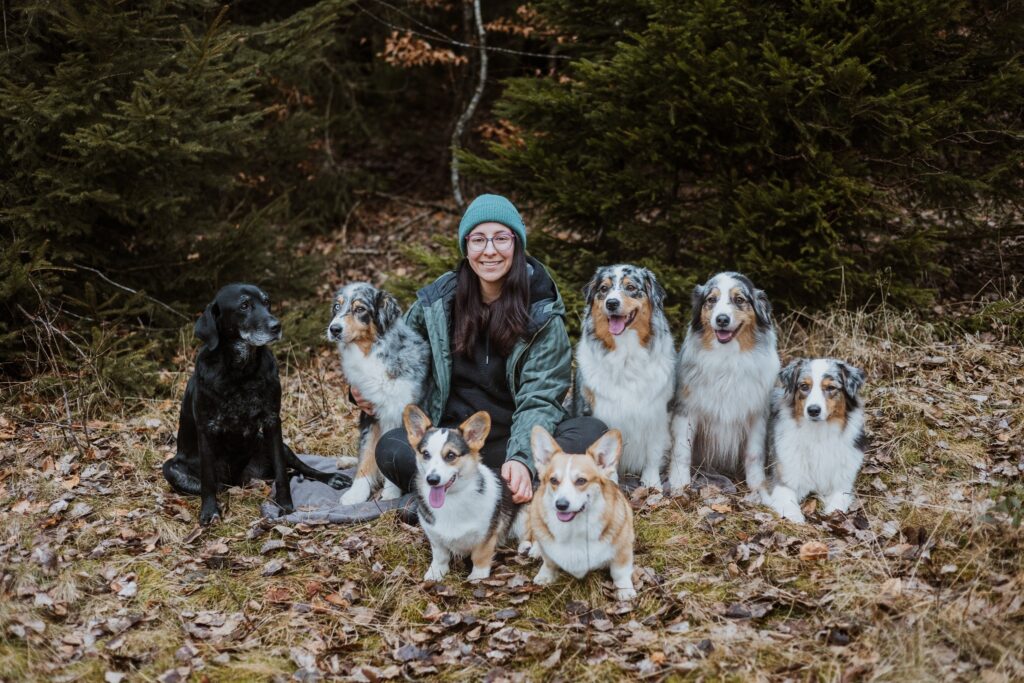 CHovatelská stanice corgi